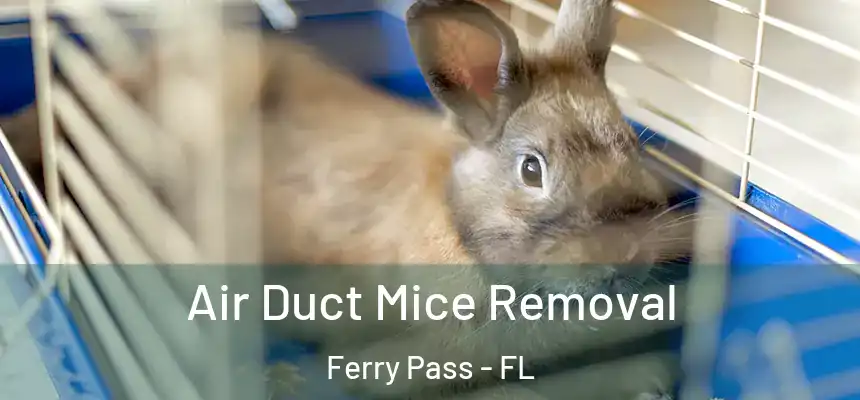 Air Duct Mice Removal Ferry Pass - FL