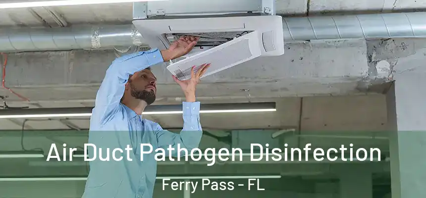  Air Duct Pathogen Disinfection Ferry Pass - FL
