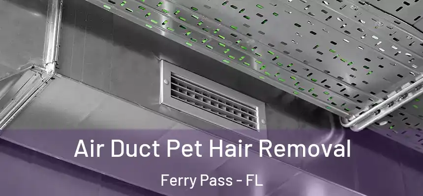 Air Duct Pet Hair Removal Ferry Pass - FL