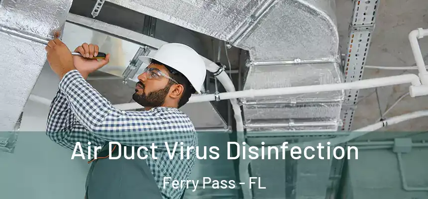 Air Duct Virus Disinfection Ferry Pass - FL