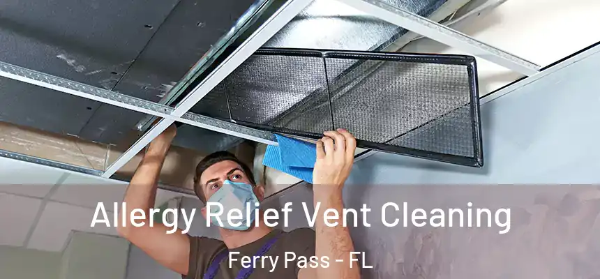 Allergy Relief Vent Cleaning Ferry Pass - FL