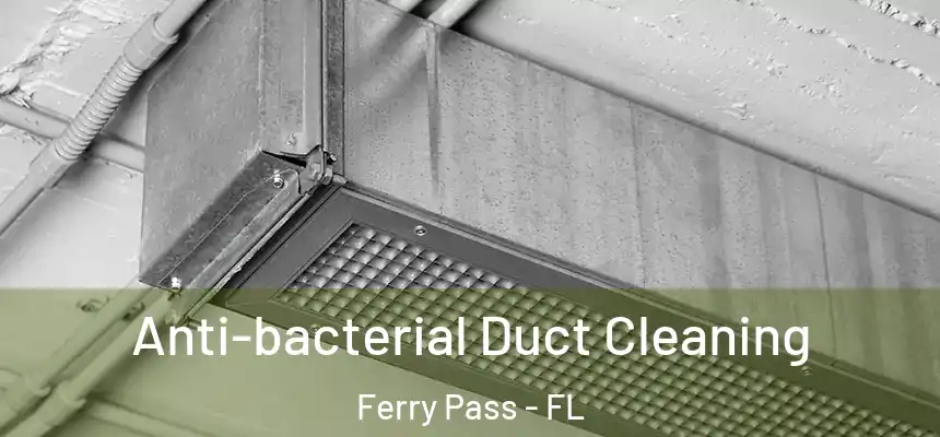 Anti-bacterial Duct Cleaning Ferry Pass - FL