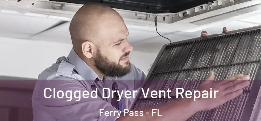  Clogged Dryer Vent Repair Ferry Pass - FL
