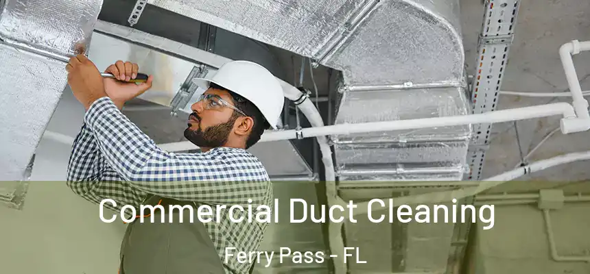 Commercial Duct Cleaning Ferry Pass - FL