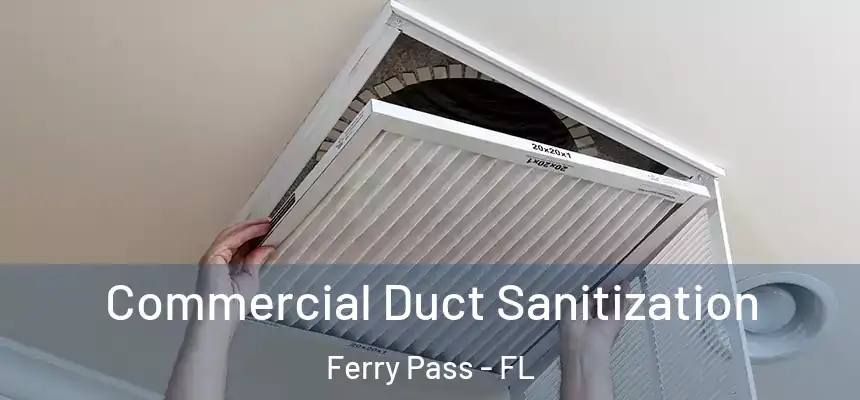  Commercial Duct Sanitization Ferry Pass - FL
