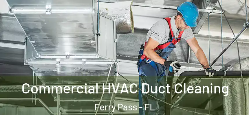 Commercial HVAC Duct Cleaning Ferry Pass - FL
