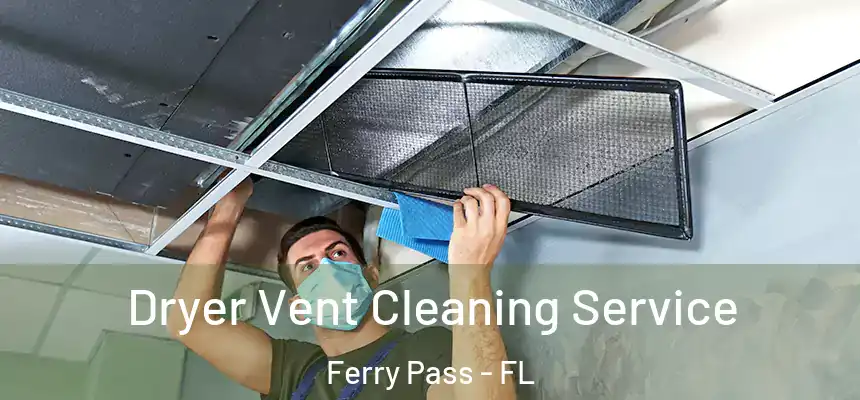 Dryer Vent Cleaning Service Ferry Pass - FL