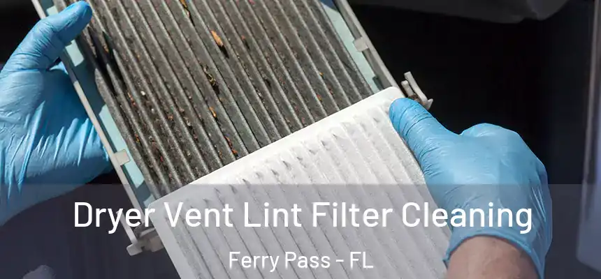  Dryer Vent Lint Filter Cleaning Ferry Pass - FL