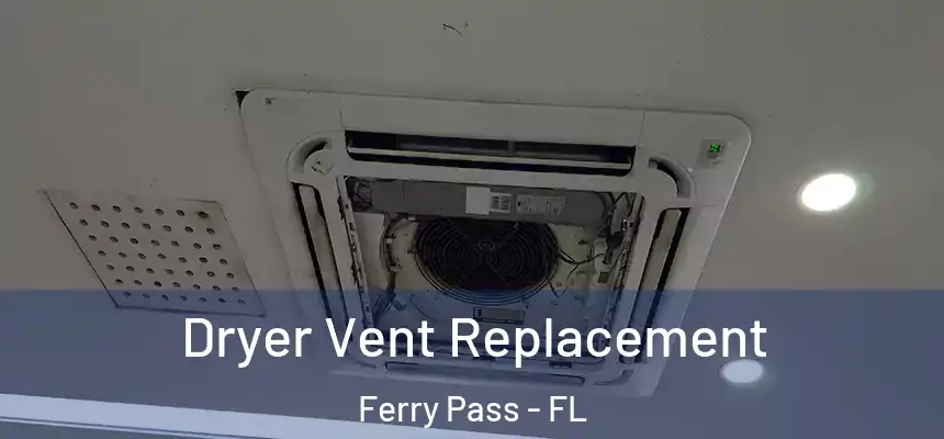 Dryer Vent Replacement Ferry Pass - FL