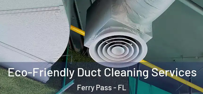 Eco-Friendly Duct Cleaning Services Ferry Pass - FL