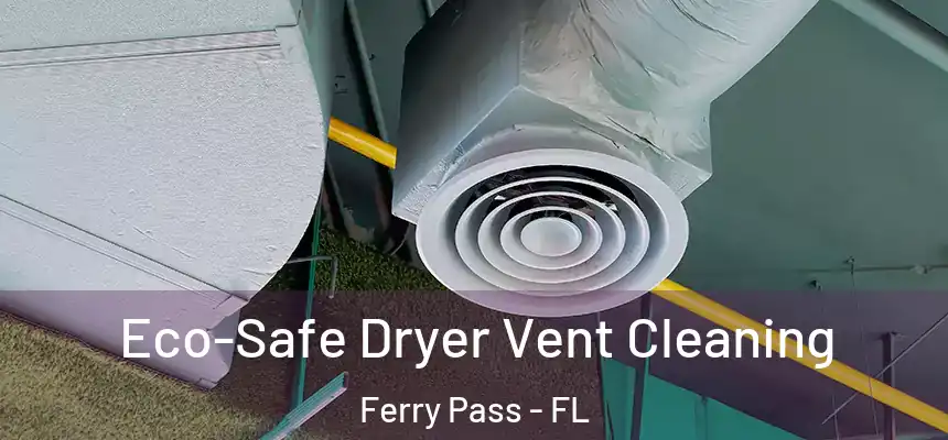 Eco-Safe Dryer Vent Cleaning Ferry Pass - FL