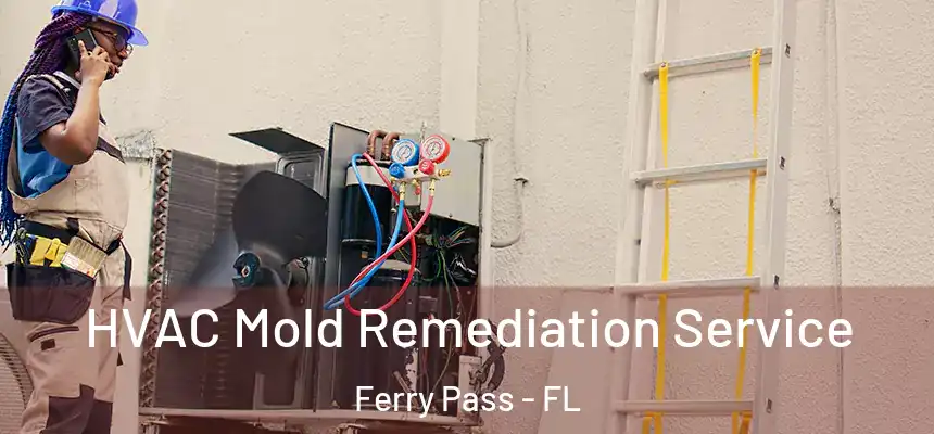 HVAC Mold Remediation Service Ferry Pass - FL