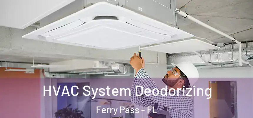 HVAC System Deodorizing Ferry Pass - FL