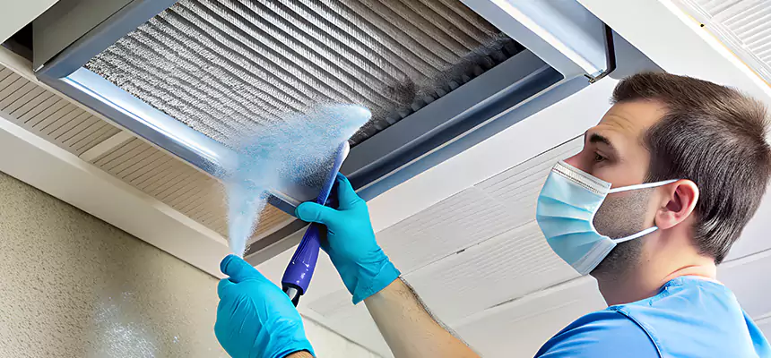 Proactive Dryer Vent & Auxiliary Duct Pollen Cleanup in Ferry Pass, FL