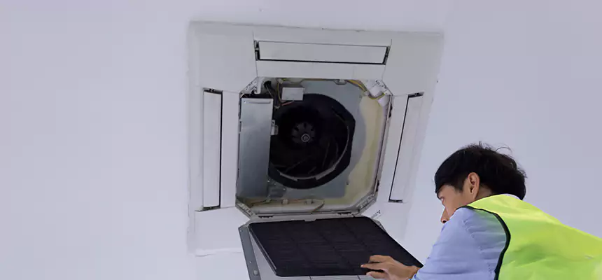 Our Dryer Vent Sanitization Service Services in Ferry Pass, FL