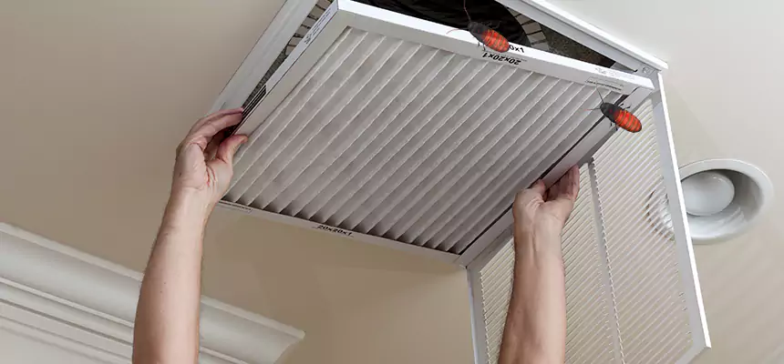 Our Insect Removal from Air Ducts Services in Ferry Pass, FL