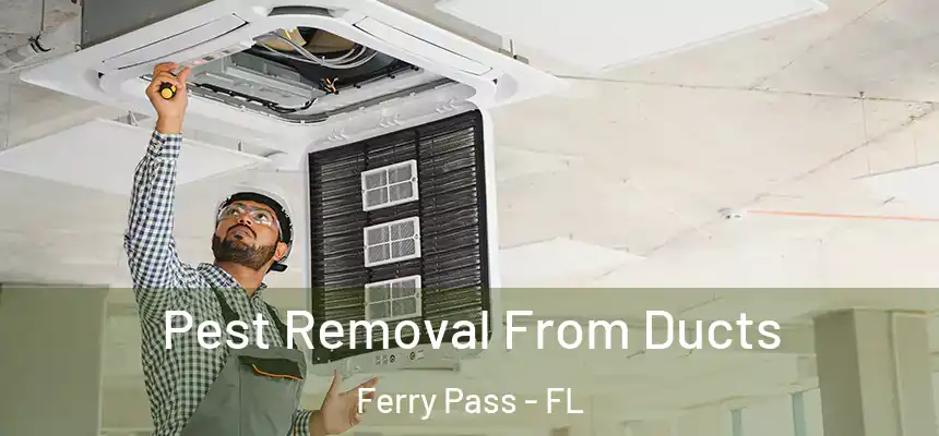  Pest Removal From Ducts Ferry Pass - FL
