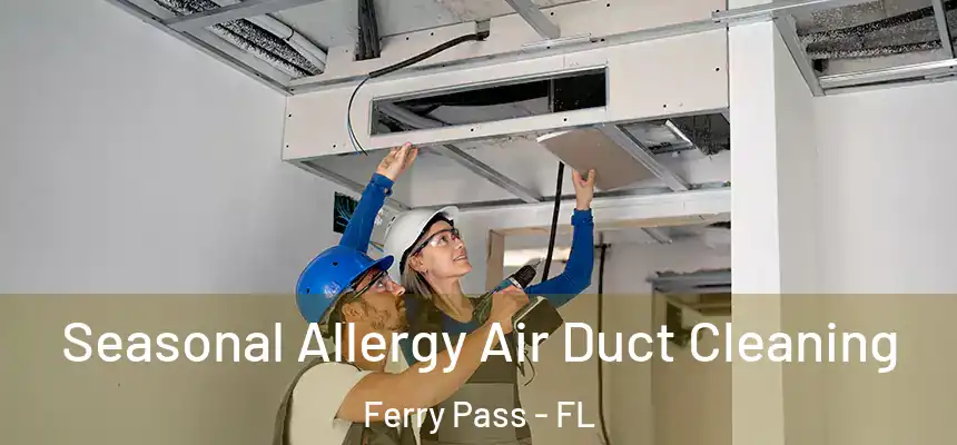 Seasonal Allergy Air Duct Cleaning Ferry Pass - FL