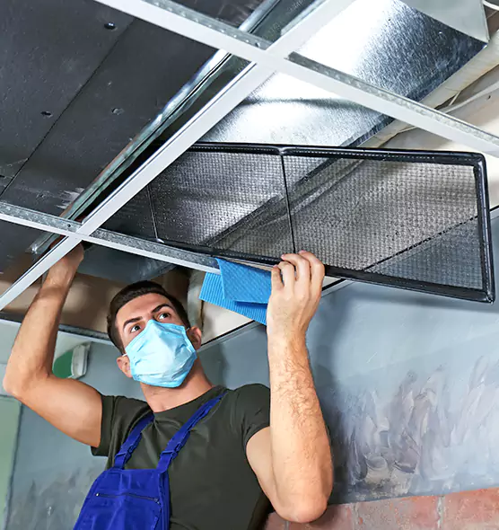 About Air Duct Bacteria Removal in Ferry Pass