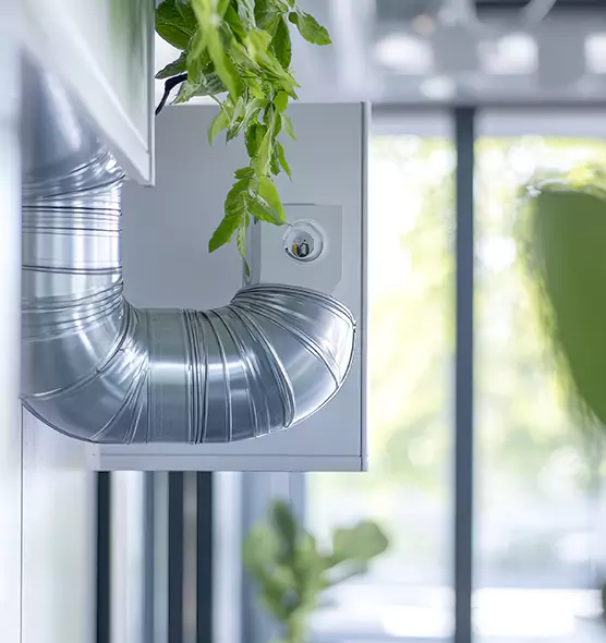 Professional Eco-Friendly Duct Cleaning Services in Ferry Pass, FL