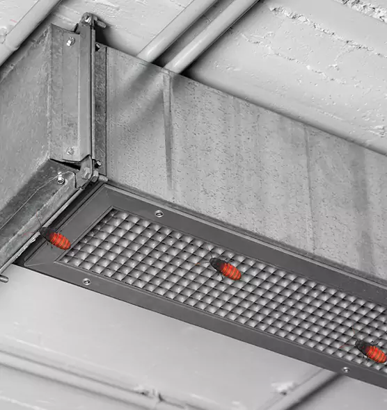 Affordable Insect Removal from Air Ducts in Ferry Pass, FL