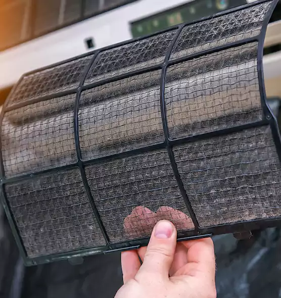 About Pet Dander Duct Cleaning in Ferry Pass, FL