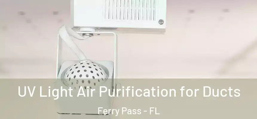  UV Light Air Purification for Ducts Ferry Pass - FL