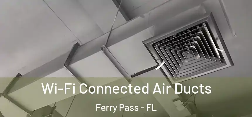 Wi-Fi Connected Air Ducts Ferry Pass - FL